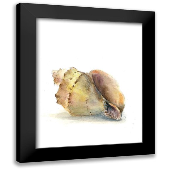 Shefranov, Olga 12x14 Black Modern Framed Museum Art Print Titled - Shell II