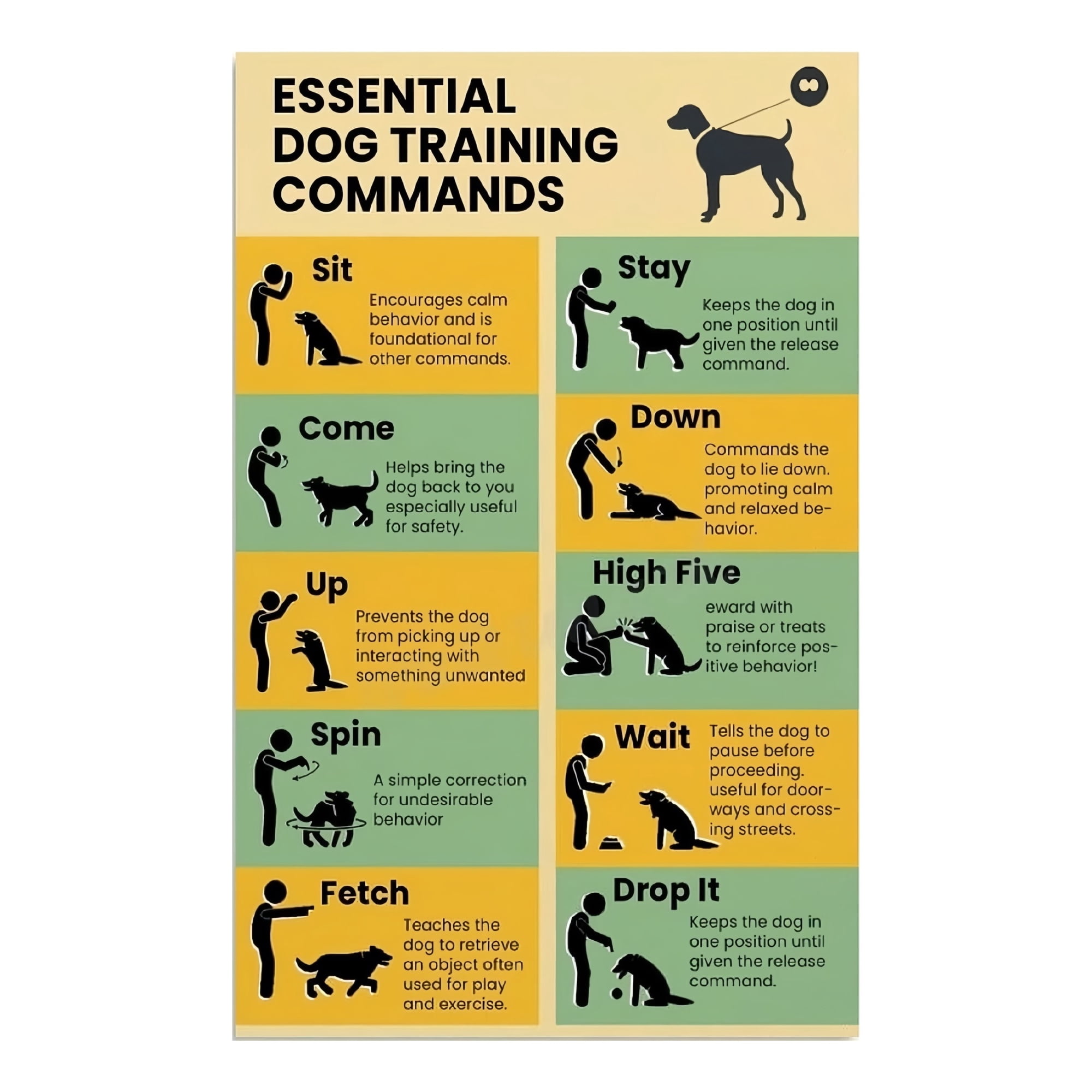 Dog Obedience Commands Poster Clear Visual Chart with Hand Signals Training Guide for New Pet Owners Veterinary Clinic Home Wall Decor