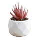 thumbnail image 2 of Mini Artificial Succulent In Plastic Pots Fake Plants For Indoors Office Decor For Women Office Home Decor Gifts Faux Plant, 2 of 6