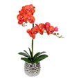 thumbnail image 1 of Vickerman 20.5" Artificial Potted Real Touch Phalaenopsis Spray in Orange, 1 of 2