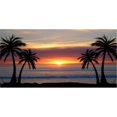 thumbnail image 1 of Palm Trees At Sunset Photo License Plate, 1 of 1