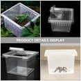 thumbnail image 3 of FUTUREORYY 10Pcs Turtle Tank Accessories Transparent Breeding Box Plastic for Snails, 3 of 7