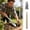 Silver, variant on 19.2IN Long Handle Narrow Garden Trowel, Stainless Steel Precision Soil Cultivation Shovel with Wooden Handle for Potting & Weeding