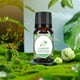 thumbnail image 2 of perfumes for women para caballero Oil Aromatherapy Therapeutic Grade Water Soluble Aroma 10ML, 2 of 6