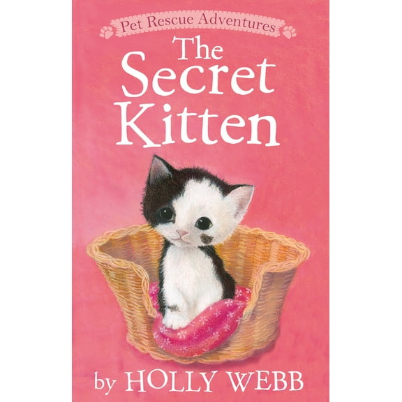 Pre-Owned The Secret Kitten (Paperback) 1680104004 9781680104004