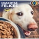 thumbnail image 4 of Fibra Esponja Pet Bowl Corazzi Edición mascotas 12 Paquetes multicolor, 4 of 5