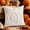 White, variant on Vintage Gothic Cozy Spooky Tufted Embroidered Pumpkin Polyester Throw Pillow Cover Zippered Sofa Bed Cushion Case For Indoor Adult Fall Halloween Holiday Home Ornament