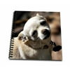 3dRose White Chihuahua posing for photograph - Mini Notepad, 4 by 4-inch