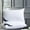 White, variant on WQQZJJ Throw Pillows Feather Velvet Hotel-grade Pillow Core, Soft And Supportive Down Bed Pillow, Suitable For Back, Side, And Stomach Sleepers, Made Of Skin-friendly Cotton Fabric,Home decor