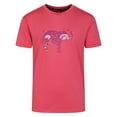 thumbnail image 1 of Regatta T-Shirt Vélo Amuse II Garçons/filles, 1 of 5