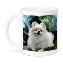 3dRose, Pomeranian, 11oz Mug