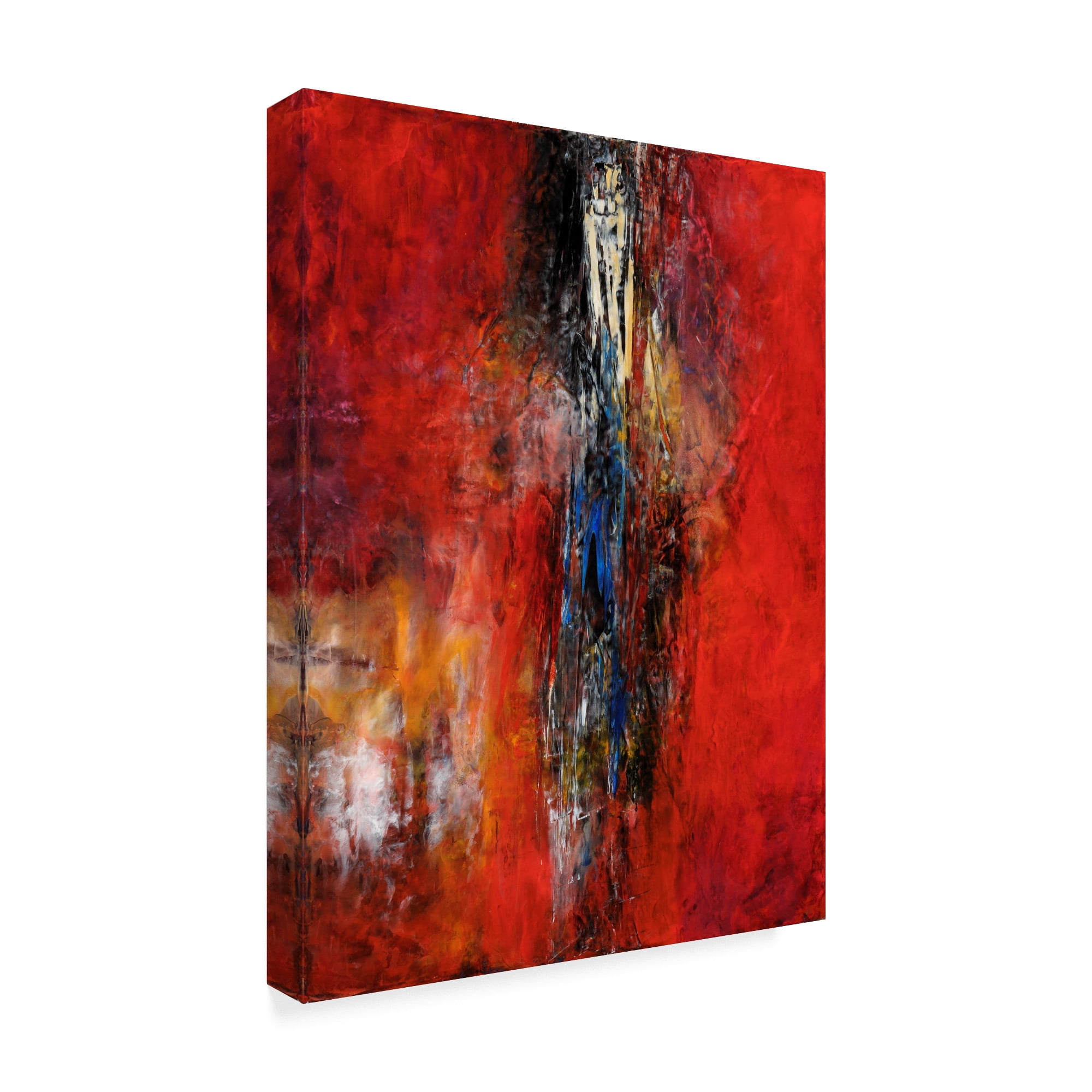 Trademark Fine Art 'Taking The Plunge' Canvas Art by Aleta Pippin