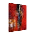 thumbnail image 2 of Trademark Fine Art 'Taking The Plunge' Canvas Art by Aleta Pippin, 2 of 3