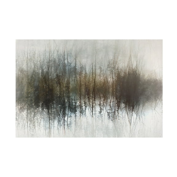 Trademark Fine Art Nel Talen Day dreams Canvas Wall Art