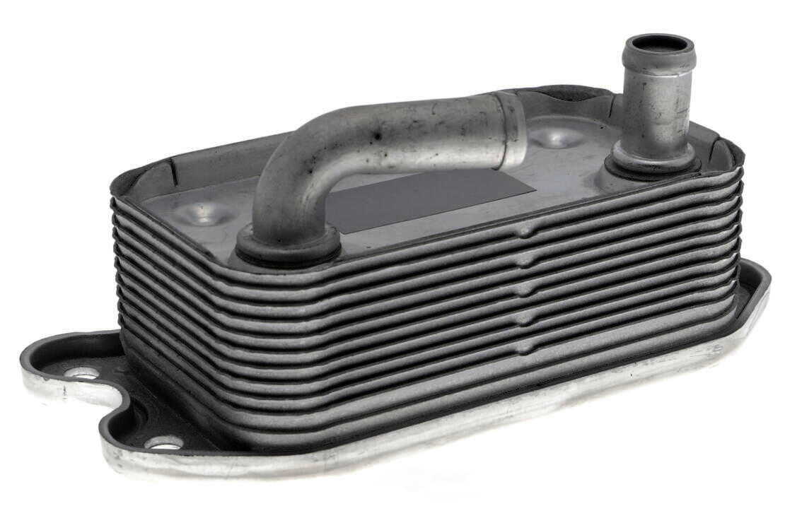 VEMO V95-60-0006 Oil Cooler, engine oil