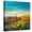 Canvas, variant on Art.com Picturesque, Serene Sunset in Saguaro National Park - Sonoran Desert - American Southwest. Stretched Canvas Print Wall Art by Katrina Leigh, 16" x 16"