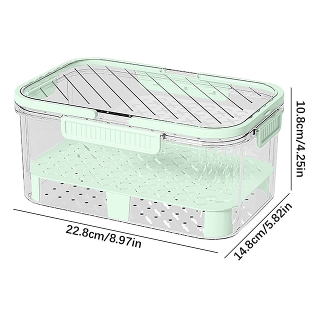 Outdoor Storage Box With Lid Large-Capacity Plastic Picnic Basket For Refrigerator Crispers And Lunch Storage 10 in x 8 in x 6 in