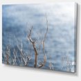 thumbnail image 2 of Leafless Winter Branches - Landscape Canvas Art Print, 2 of 4