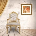 thumbnail image 3 of Diskin, Ceil 15x15 Gold Ornate Wood Framed with Double Matting Museum Art Print Titled - Peach Rose, 3 of 4