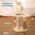thumbnail image 5 of Made4Pets Beige Natural Sisal Cat Scratching Post with Grooming for Kittens, 5 of 9