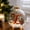 #0681-E, variant on Cheapark Flat Acrylic Christmas Hanging Ornament With Printed Letter Motif Transparent Two Dimensional Tree And Wall Holiday Decoration Piece Gift