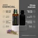 thumbnail image 2 of Aceite Esencial De Pachulí | 50 ml | Ingredientes Puros y Naturales | Patchouli Essential Oil | B Life., 2 of 7
