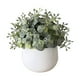 thumbnail image 2 of Artificial Plant Pot, Small Potted Decoration, Living Room Countertops Windowsills, Desktop Greenery, Home Decor, Artificial Plants for Home, Realistic Touch, Stylized Design, High Traffic Plants,, 2 of 9