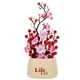 thumbnail image 1 of KAKOWELY Árbol de la fortuna artificial, fruta de escritorio, flor de ciruelo artificial en maceta, decoración en maceta, 1 of 5