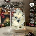 thumbnail image 5 of GLAMOUR BOUTIQUE Mini Christmas Tree Preserved Flower in Glass Dome w/Light - Forever Flowers Christmas Table Decor, Long Lasting Eternal Flowers - Comes w/Thick Gift Box & Bow, Unique Gift - White, 5 of 9