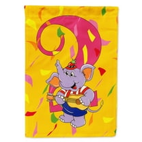 Carolines Treasures APH2159GF Happy 2nd Birthday Age 2 Flag Garden Size Small multicolor