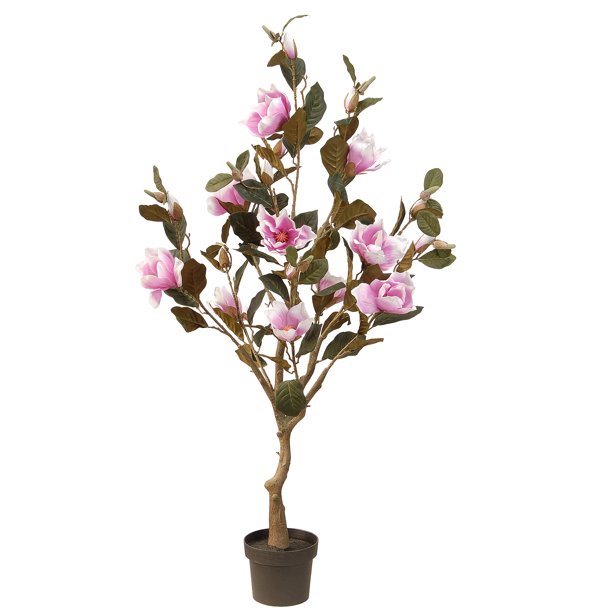 48" Pink Magnolia Tree