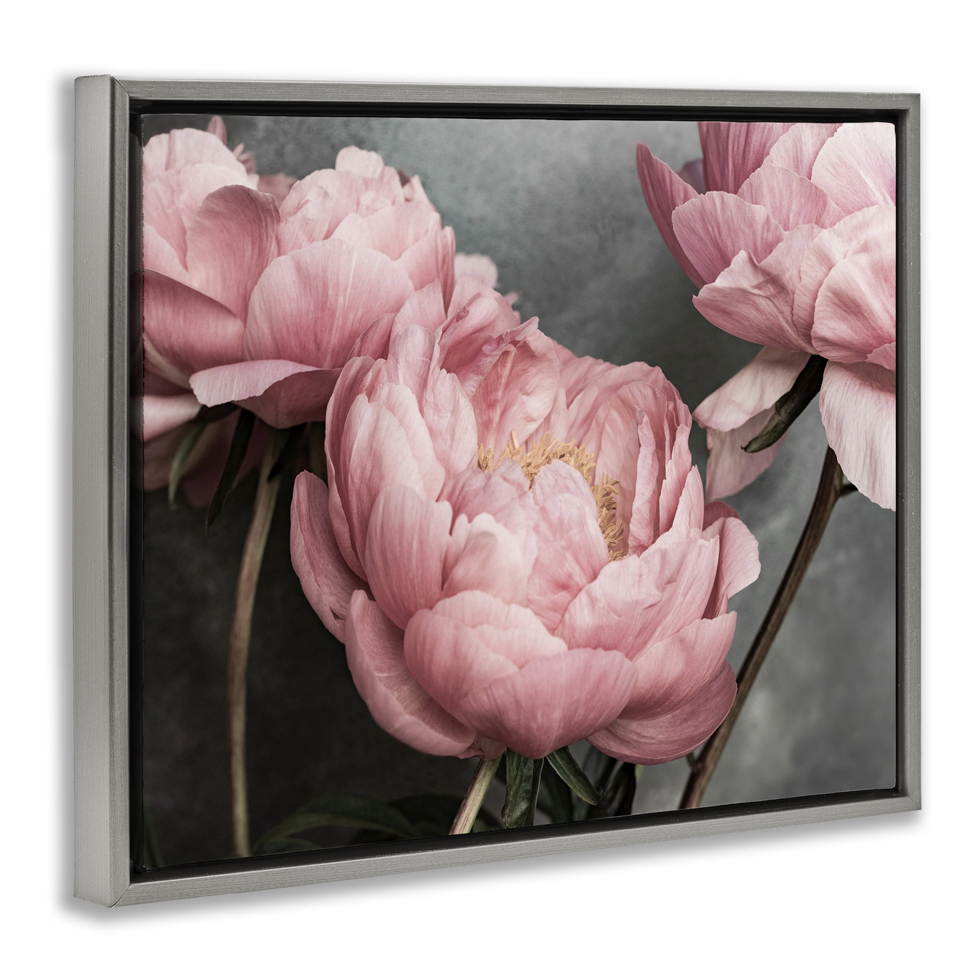 Stupell Industries Pink Peonies Trio Plants & Flowers Painting Gray Floater Framed Canvas Art Print Wall Art, 31 x 25