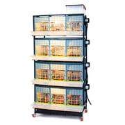 Hatching Time Chick Brooder - 4 Layer H: 15 (Power-Washable, Durable, ABS Plastic) | Cimuka