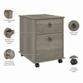 thumbnail image 4 of Bush Furniture Homestead Farmhouse Mobile Cabinet in Driftwood Gray, 4 of 5