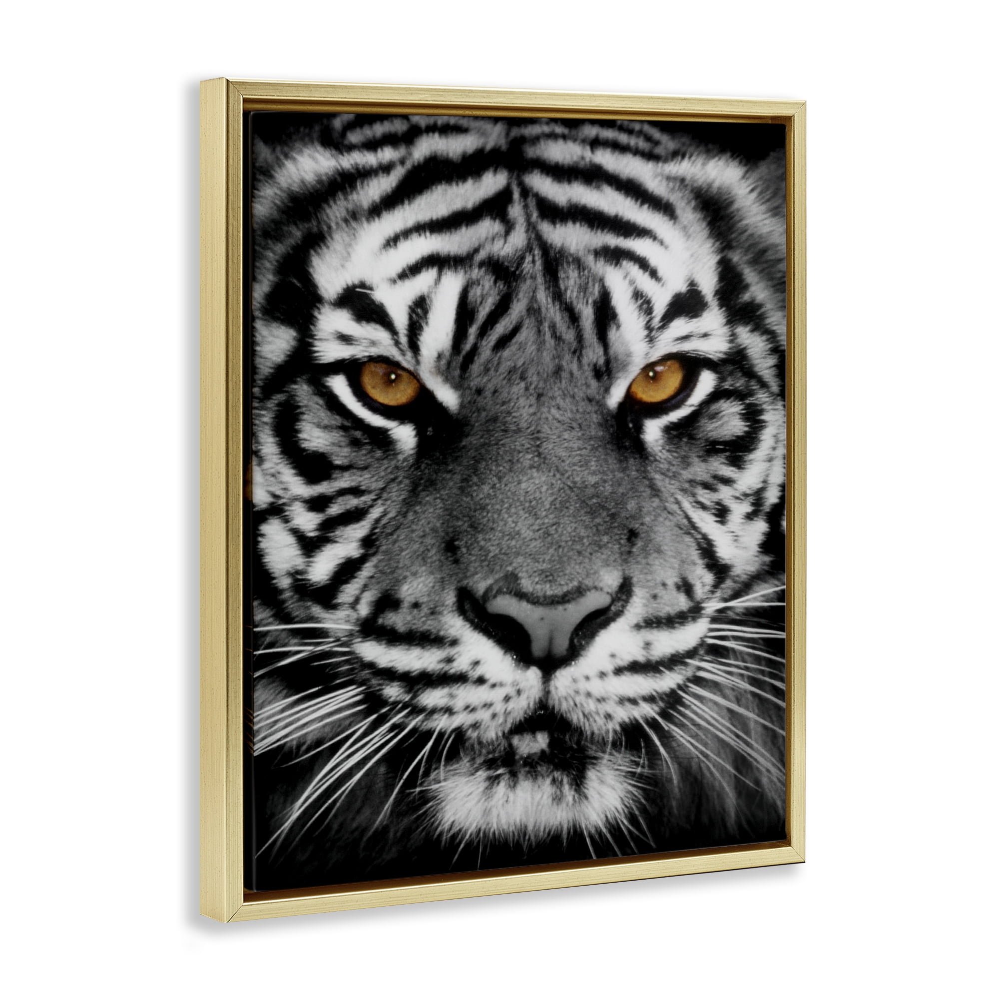 Stupell Industries Fierce Eyed Tiger Animals Painting Gold Floater Framed Canvas Art Print Wall Art, 17 x 21