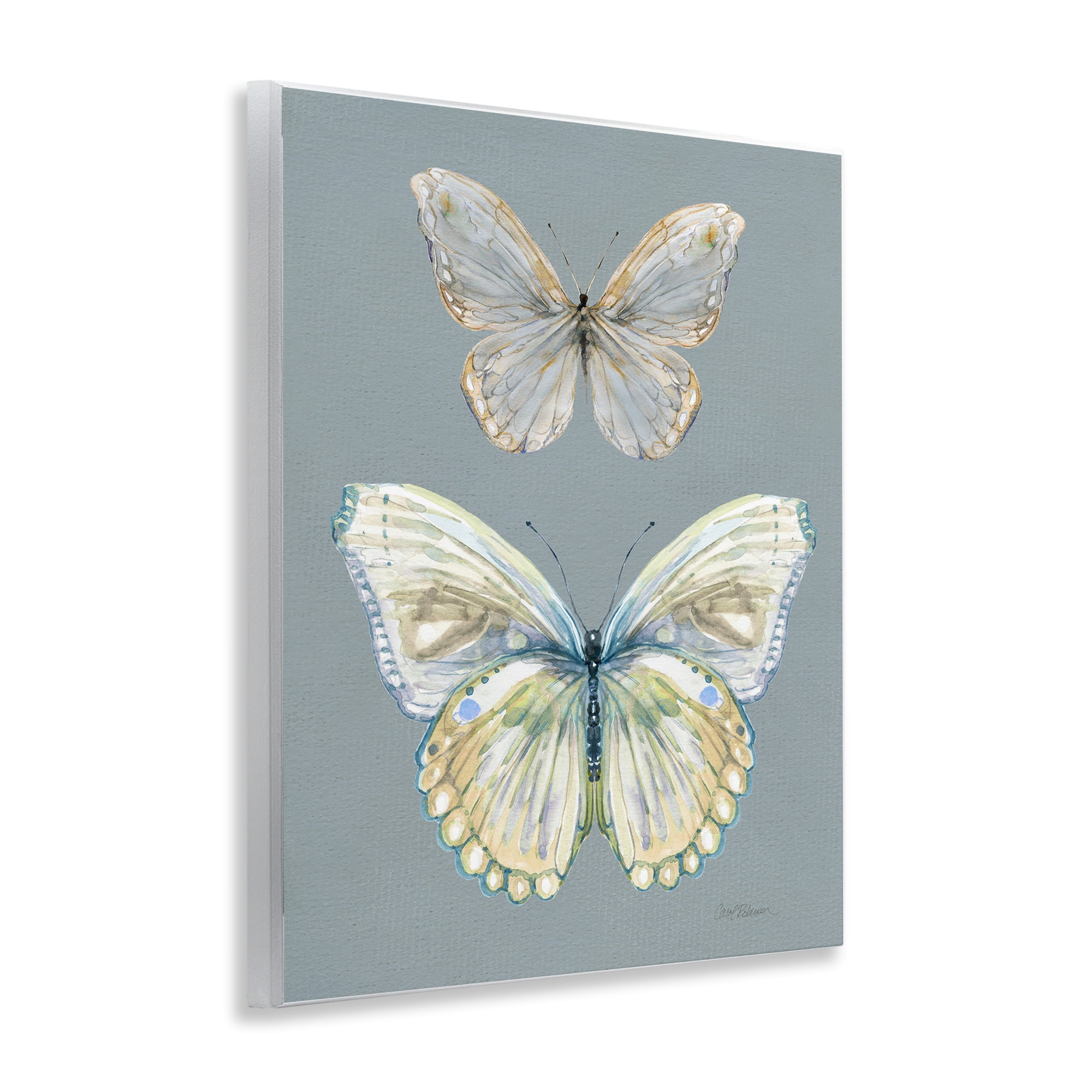 Stupell Industries Butterfly Pair Study Wall Plaque Art, design by Carol Robinson