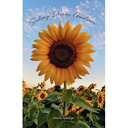 Seeking Divine Guidance, (Paperback)