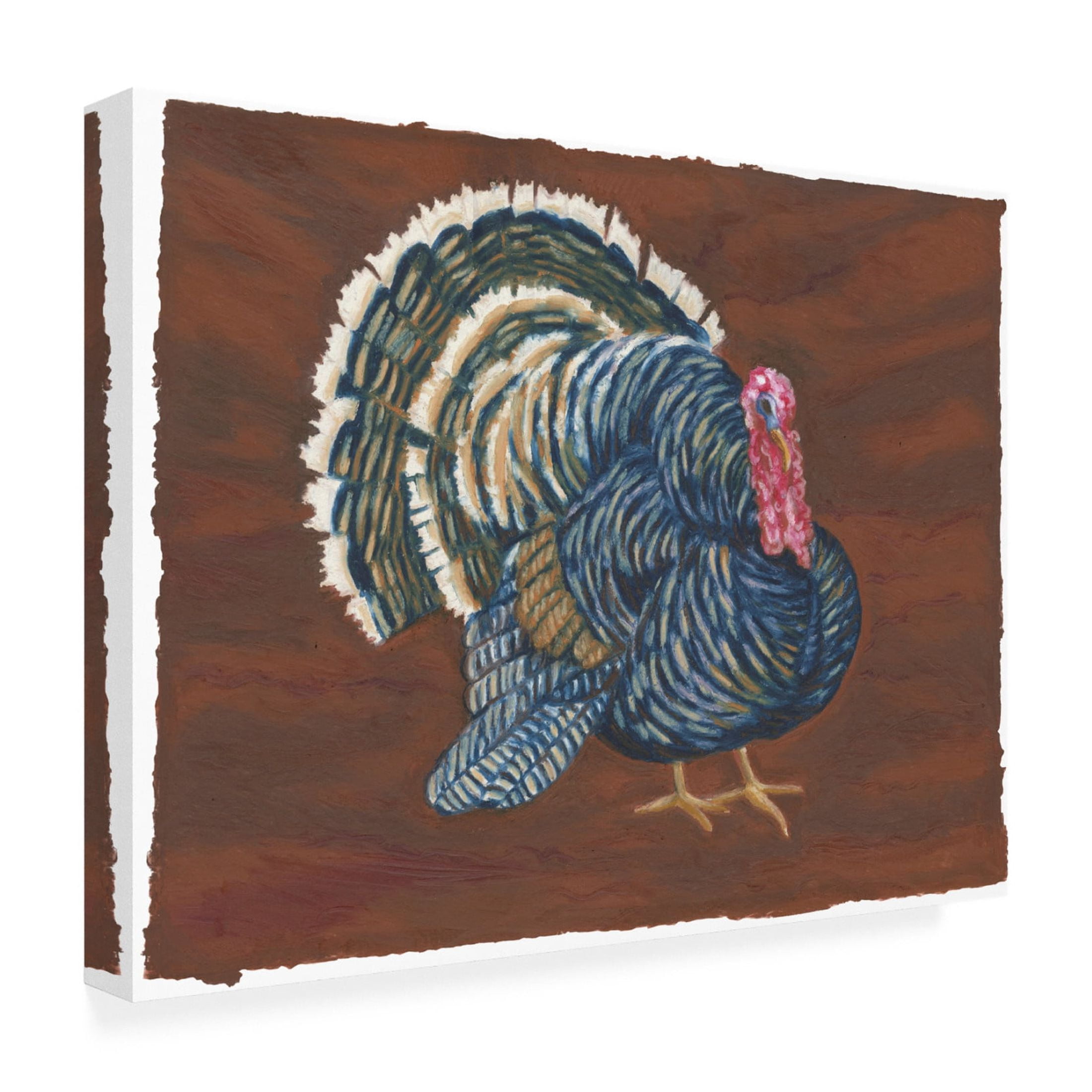 Canvas Wall Art - Andrea Strongwater 'Game Birds Turkey' Wall Art for Living Room, Bedroom, or Office Décor by Trademark Fine Art - 47 x 35 Inches