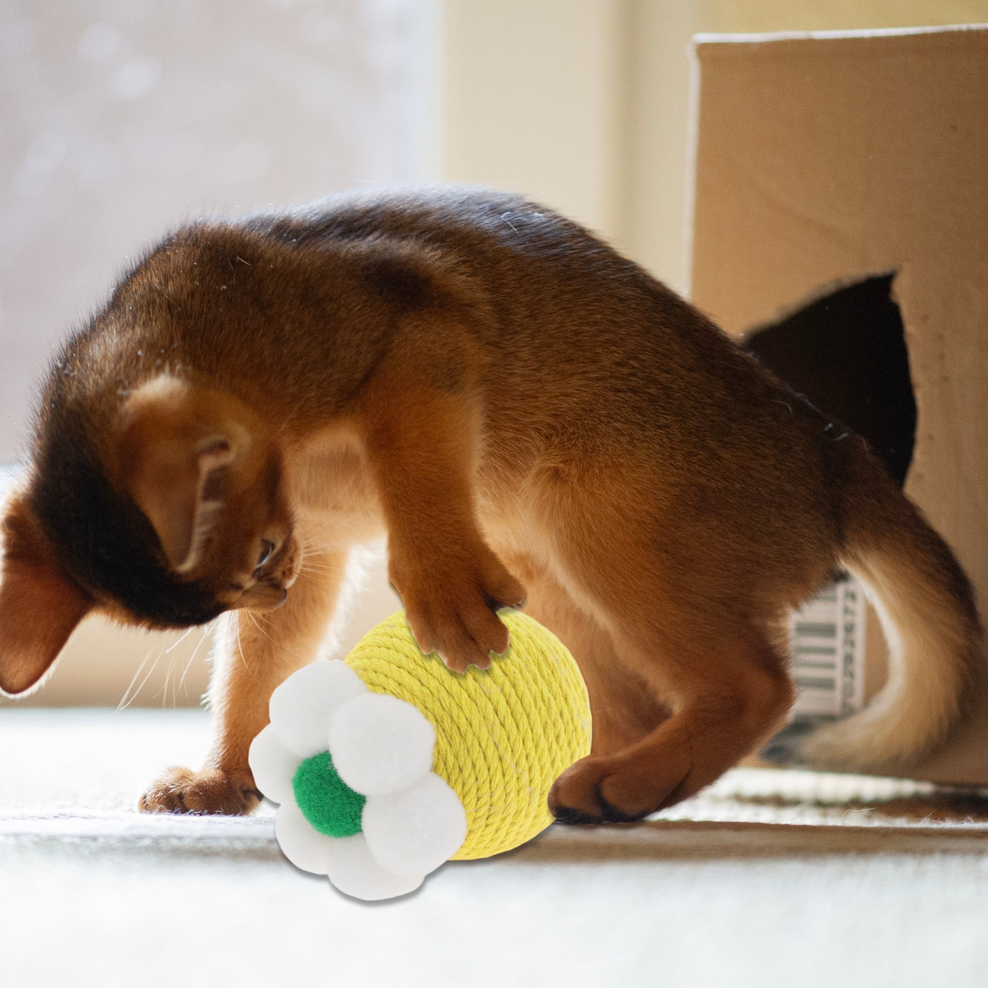 Unique Bargains Safe Teeth Cleaning Chew Balls Yellow