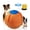 D, variant on Calming Jumbo Ball for Dogs and Horses, Durable Tear-Resistant Inflatable Herding Toy, with Heavy-Duty Handle Cover and Pump, 10/18/22 Inch