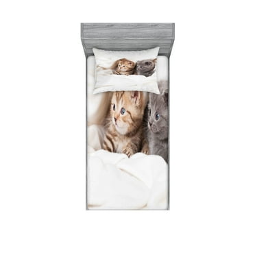 Ambesonne Animal Fitted Sheet & Pillow Sham Set, Scottish Fold Kittens, Twinxl, White and Grey