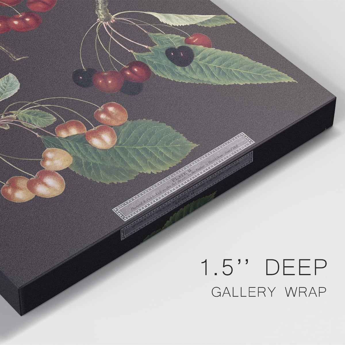 Brookshaw Cherries Premium Gallery Wrapped Canvas - Ready to Hang