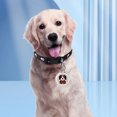 thumbnail image 3 of Portable GPS Tracker for Old Men Kid Pet Universal GPS Smart Waterproof Locator Collar Anti-lost Device Find My Pet for Dog Cat ShopWise Round, 3 of 6