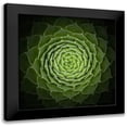 thumbnail image 1 of Mozqueda, Victor 20x20 Black Modern Framed Museum Art Print Titled - Succulent, 1 of 5