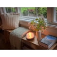 thumbnail image 3 of 5' Farmhouse Indoor Dining Bench, Elm Wood Shoe Bench Entryway Bench, Natural Wood Kitchen Table Benches, Bed Bench, 3 of 8