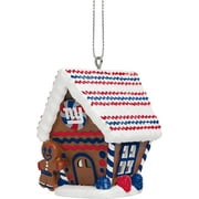 New York Giants Abs Gingerbread House Or