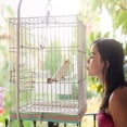 thumbnail image 3 of Comedero para pájaros para jaula, 3 uds., comedero para jaula de pájaros, cuenco de plástico para agua, comedero para pájaros, jaula, cuenco de alimentación para loro Paloma, 3 of 5