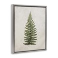 thumbnail image 4 of Stupell Industries Detailed Fern Leaf Botanical & Floral Painting Gray Floater Framed Art Print Wall Art, 25 x 31, 4 of 10