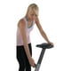 stamina indoor cycle 1305 parts