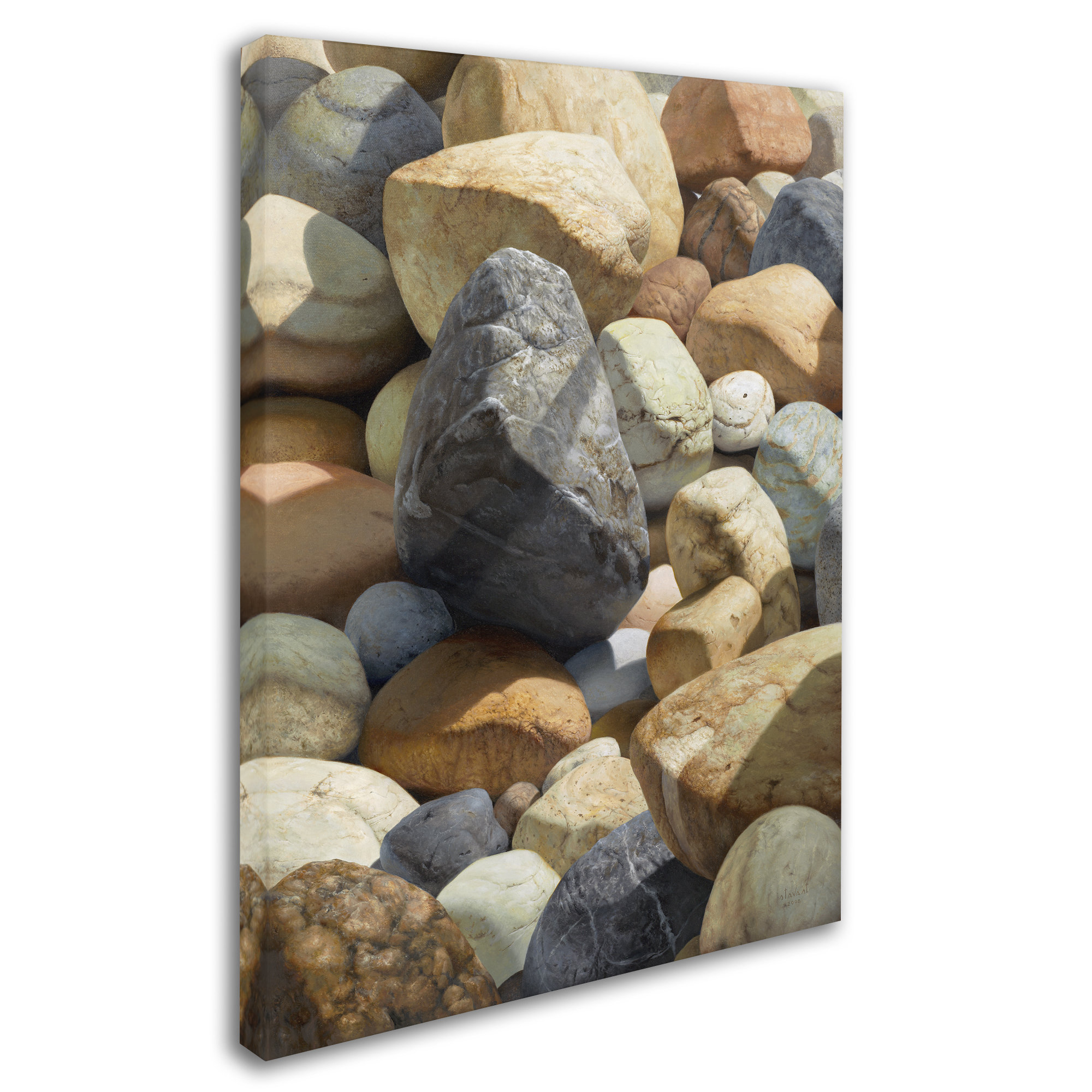 Trademark Fine Art Stephen Stavast 'A Bolder View' 35 x 47 (ALI0740-C3547GG)